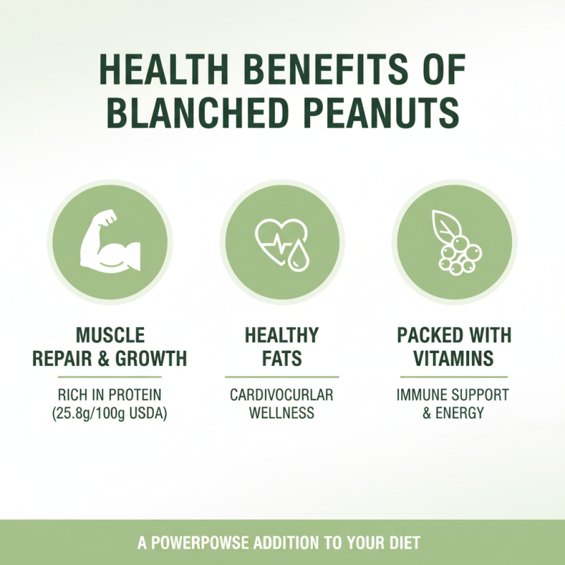 2026 How to Prepare Blanched Peanuts for Healthy Snacking?