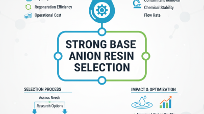 2026 Best Strong Base Anion Resin Options to Consider?