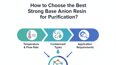 How to Choose the Best Strong Base Anion Resin for Purification?