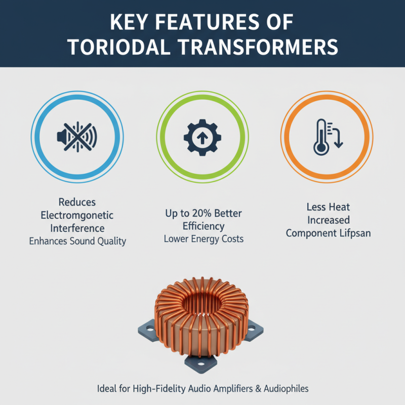 The 5 Best Toroidal Transformer Amplifiers You Need to Know?