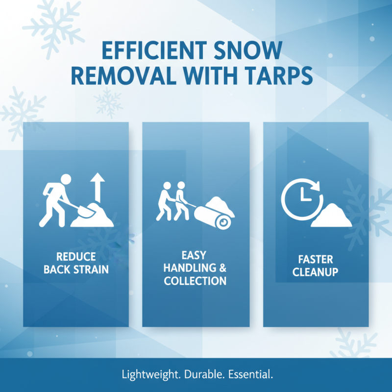 Why Choose Snow Removal Tarps for Efficient Winter Cleanup?