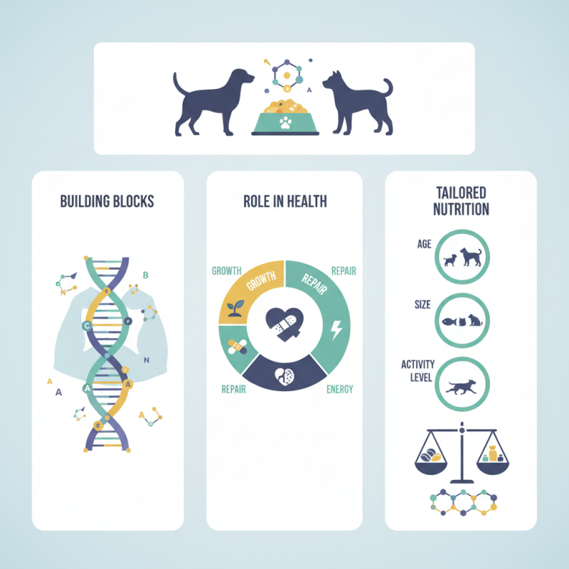 How to Choose Amino Acids for Pet Food Nutrition?