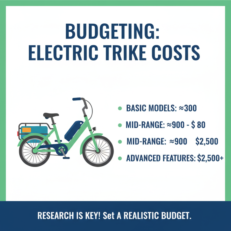 How to Choose the Best Electric Trike for Adults?