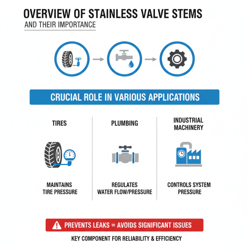 Top 10 Best Stainless Valve Stems for Optimal Performance?