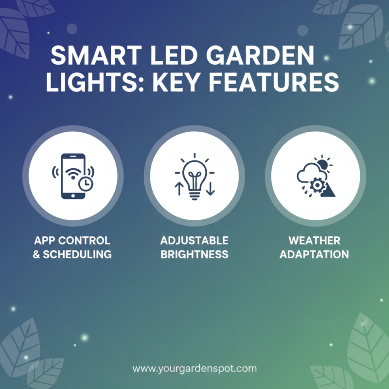 10 Smart Tips for Choosing the Best Smart Led Garden Light