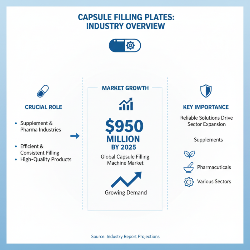 2026 Best Capsule Filling Plate Reviews and Buying Guide?