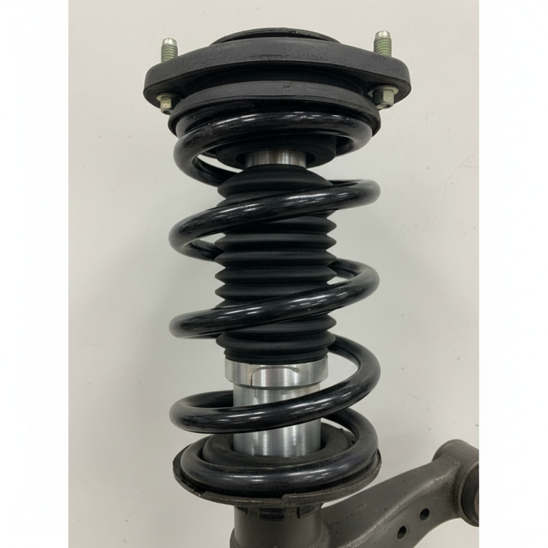 Top 5 Rear Strut Assembly Facts You Need to Know?