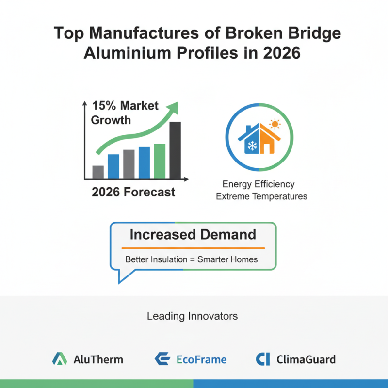 2026 Best Broken Bridge Aluminium Profiles for Your Home?