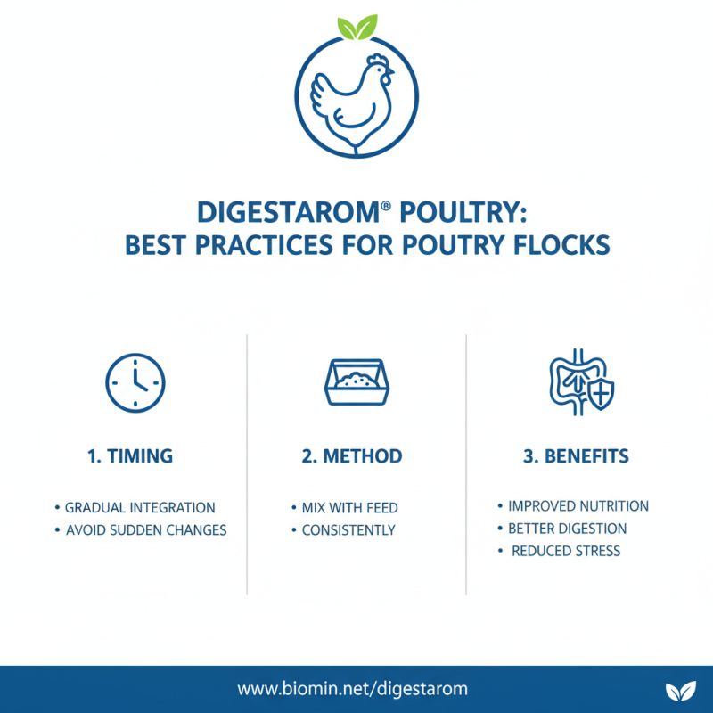 How to Use Digestarom Poultry for Enhanced Poultry Nutrition?