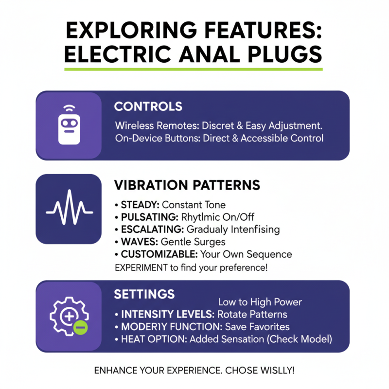 How to Choose the Right Electric Anal Plug for Beginners?