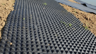 How to Choose the Right Textured Geomembrane for Your Project?