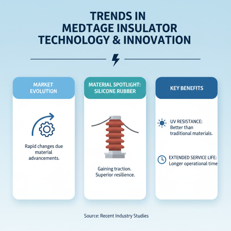 How to Choose the Right Medium Voltage Post Insulator?