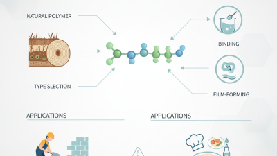 2026 Top Cellulose Ether Additives Explained for Beginners?