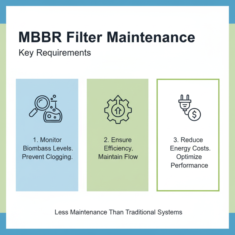 How to Choose the Right MBBR Filter for Your Needs?