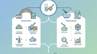 How to Use Cellulose Ether Additives for Your Projects?