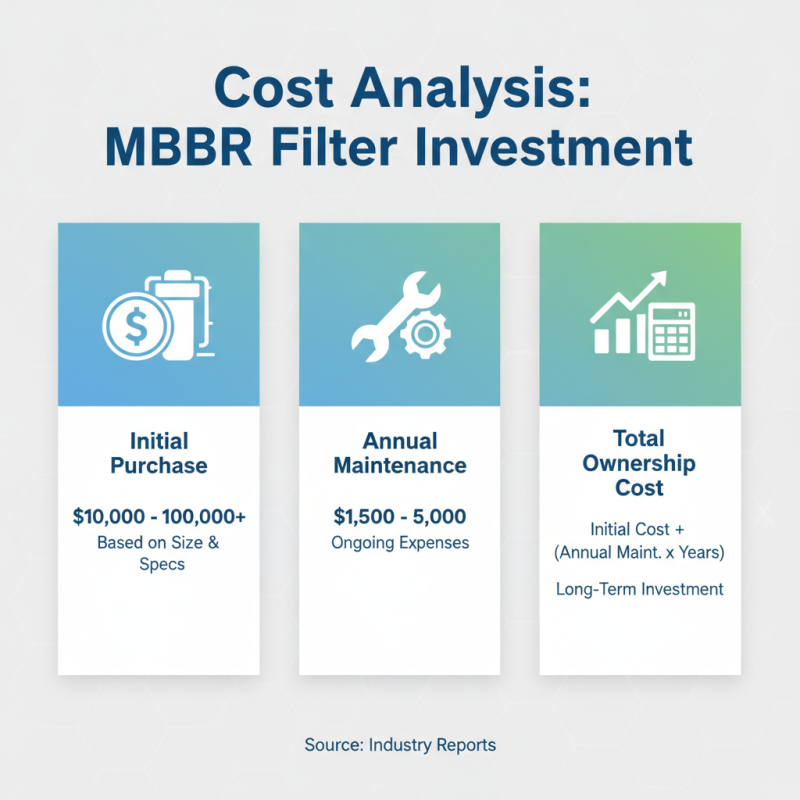 How to Choose the Right MBBR Filter for Your Needs?