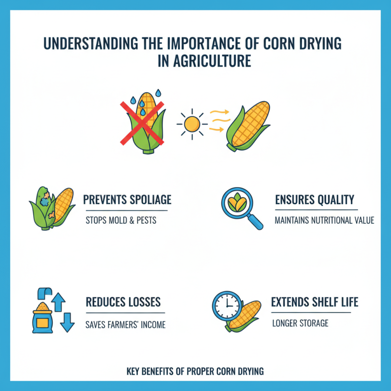 How to Choose the Best Corn Dryer Machine for Your Needs?