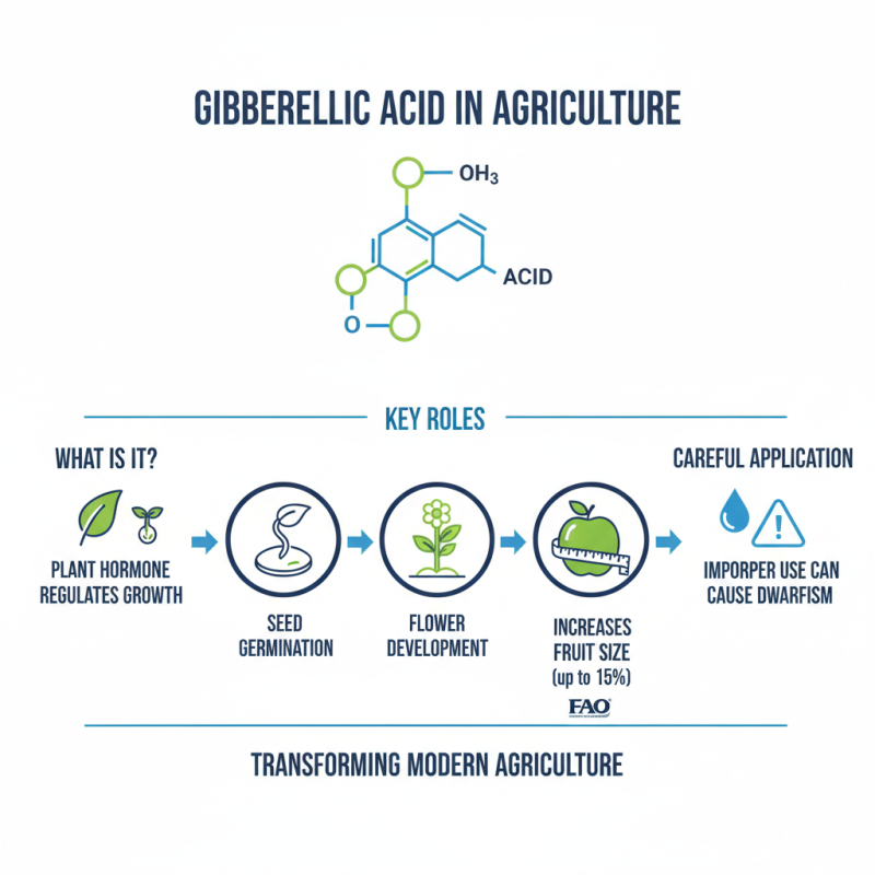 2026 Best Uses for Gibberellic Acid Application in Agriculture?