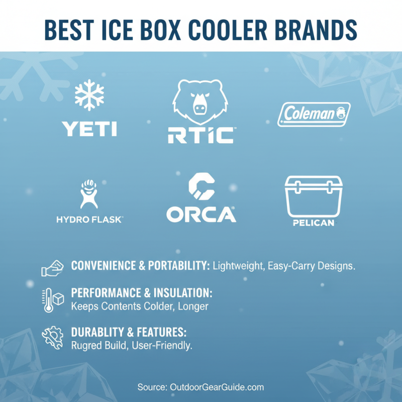 Top 10 Ice Box Cooler Storage Solutions for Ultimate Convenience?