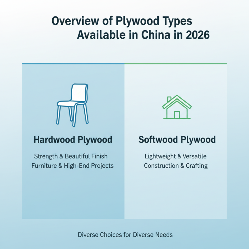 2026 Best China Plywood Options for Quality and Durability?