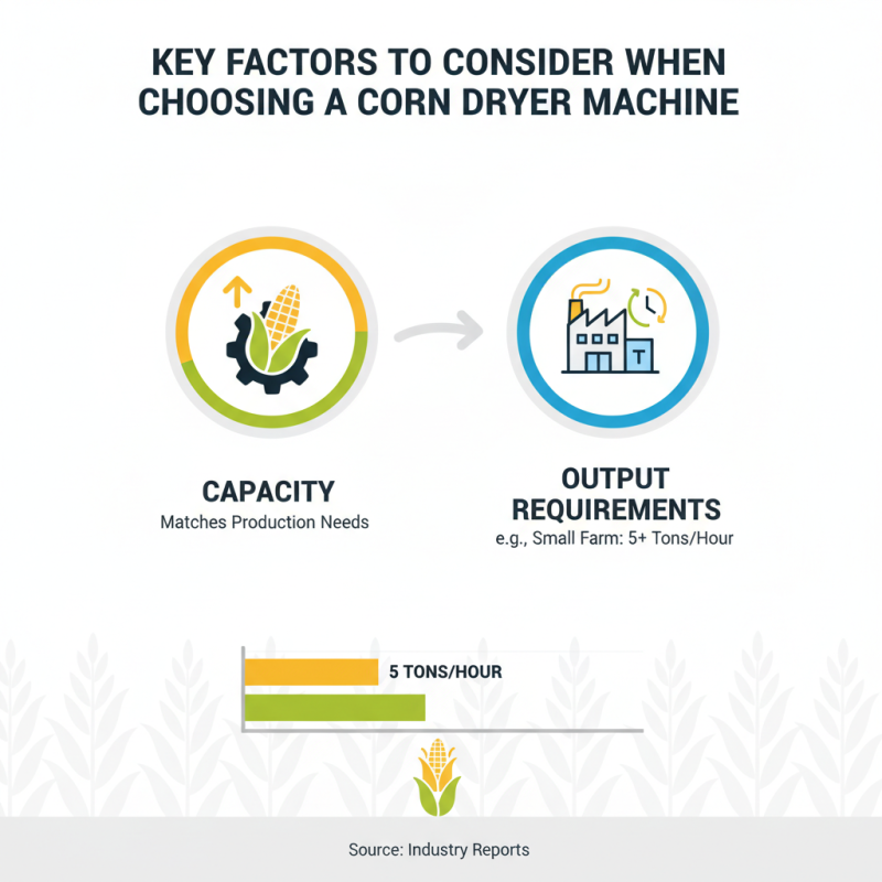 How to Choose the Best Corn Dryer Machine for Your Needs?