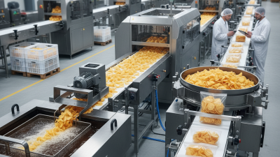 How to Choose the Best Potato Chips Machine for Your Business?