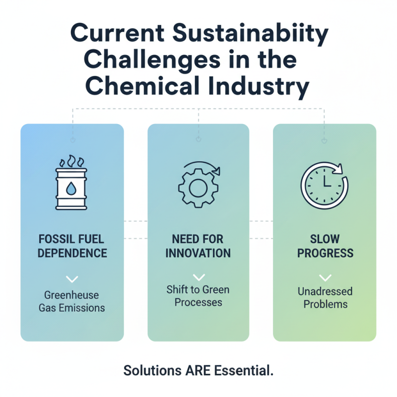 2026 How to Improve Sustainability in the Chemical Industry?