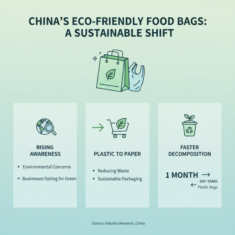 Top 10 Eco Friendly Food Bags Made of Paper in China?