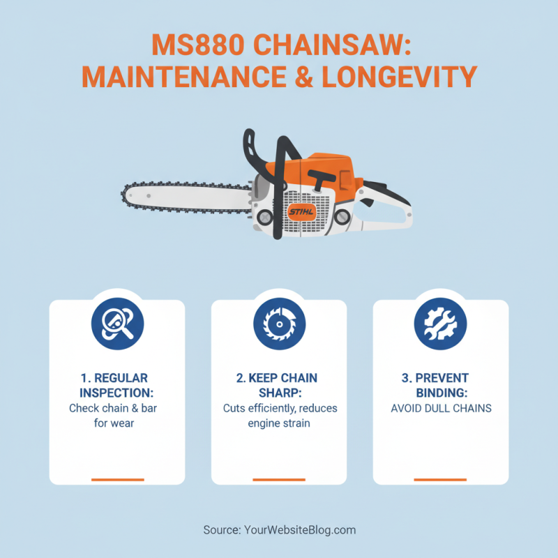 How to Choose the Right Ms880 Chainsaw for Your Needs?