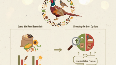 What is Game Bird Feed and How to Choose the Best Options?
