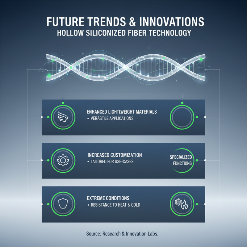 What is Hollow Siliconized Fiber and its Applications?