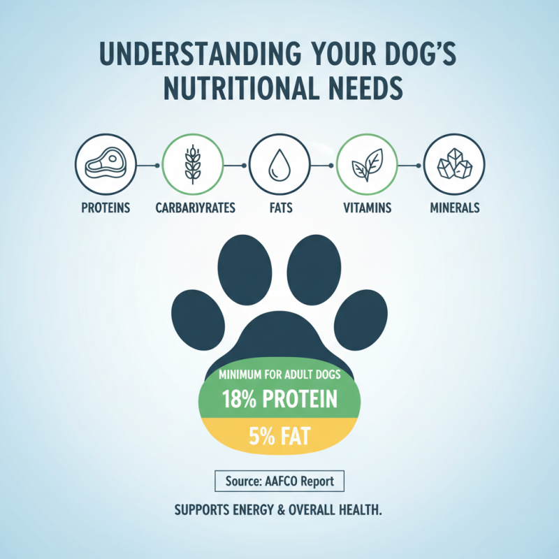 How to Choose the Best Dry Dog Food for Your Pet?