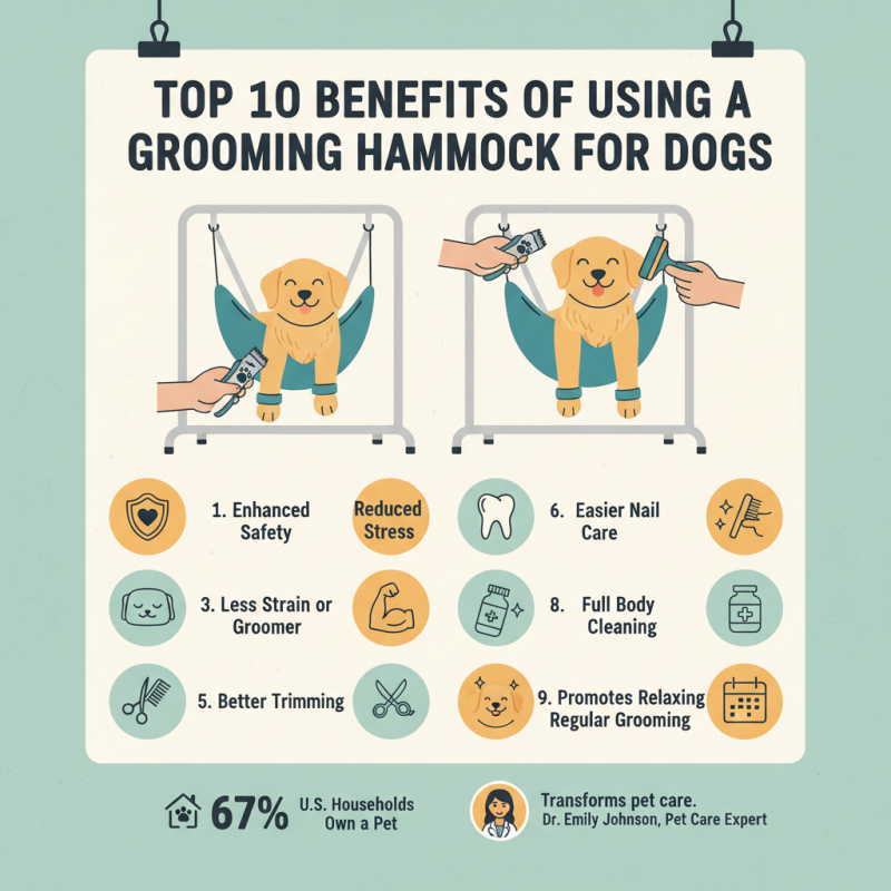 Top 10 Benefits of Using a Grooming Hammock For Dogs?