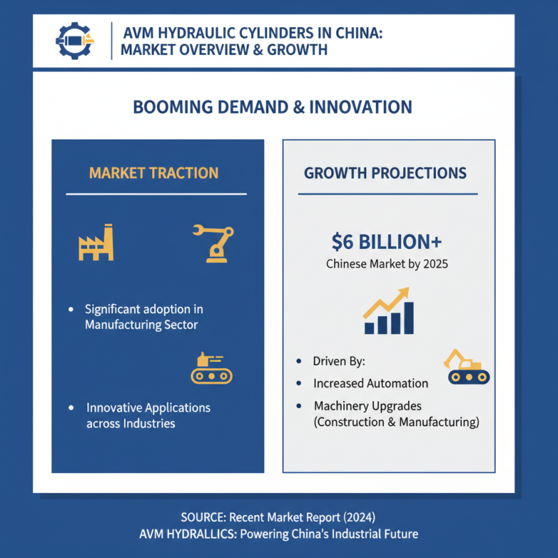 China Top Avm Hydraulic Cylinder Benefits and Applications?