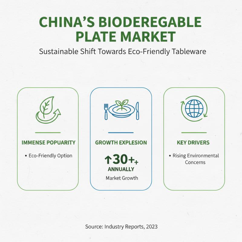 China Best Biodegradable Disposable Plates What to Know?