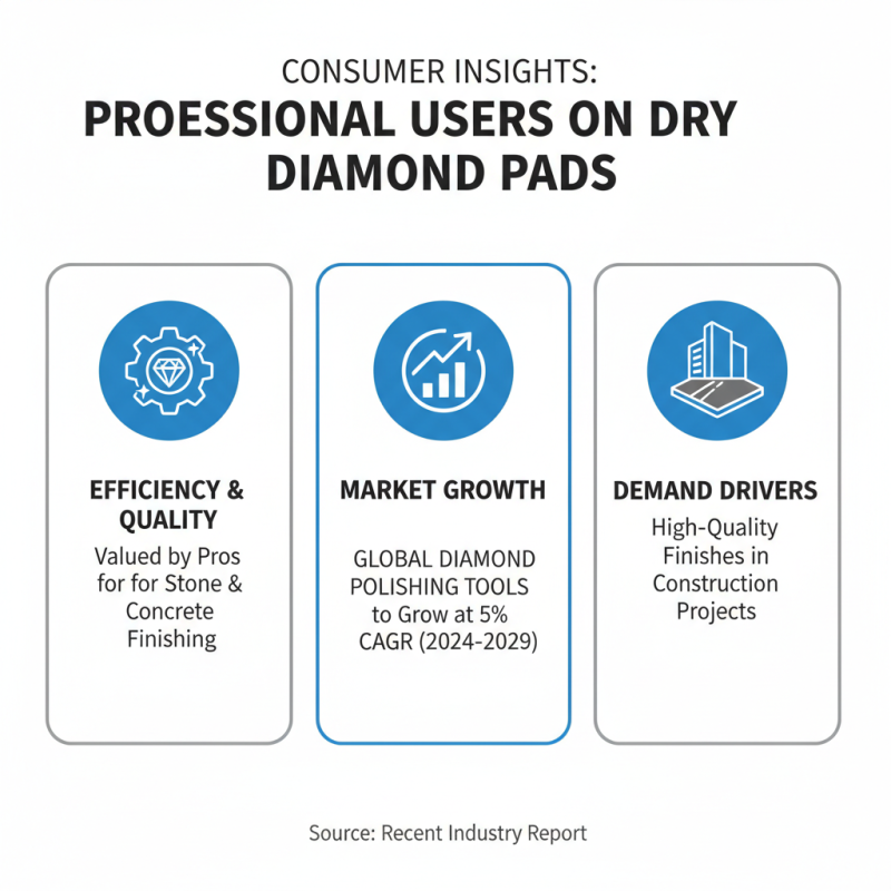 China Best Dry Diamond Polishing Pad Reviews and Buying Guide?