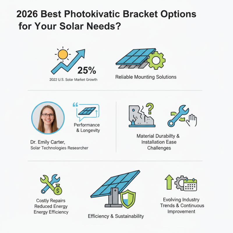 2026 Best Photovoltaic Bracket Options for Your Solar Needs?