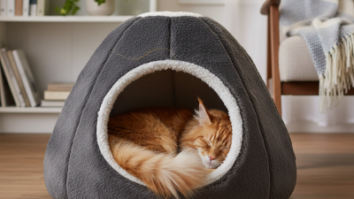 Как выбрать закрытые лежаки для кошек?