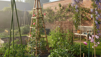 Top 10 Essential Plant Brace Types for Gardeners and Homeowners?