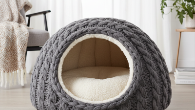 Закрытые лежаки для кошек как выбрать и где купить?