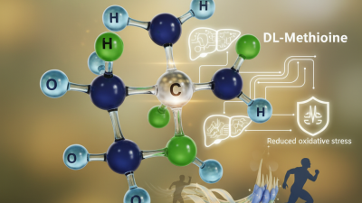 What is DL-Methionine and its Benefits for Health?