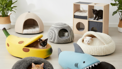 10 лучших закрытых лежаков для кошек, какие выбрать?