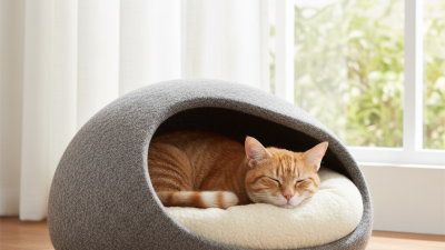 10 лучших закрытых лежаков для кошек, что выбрать?