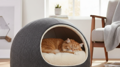 Закрытые лежаки для кошек как выбрать идеальную модель?