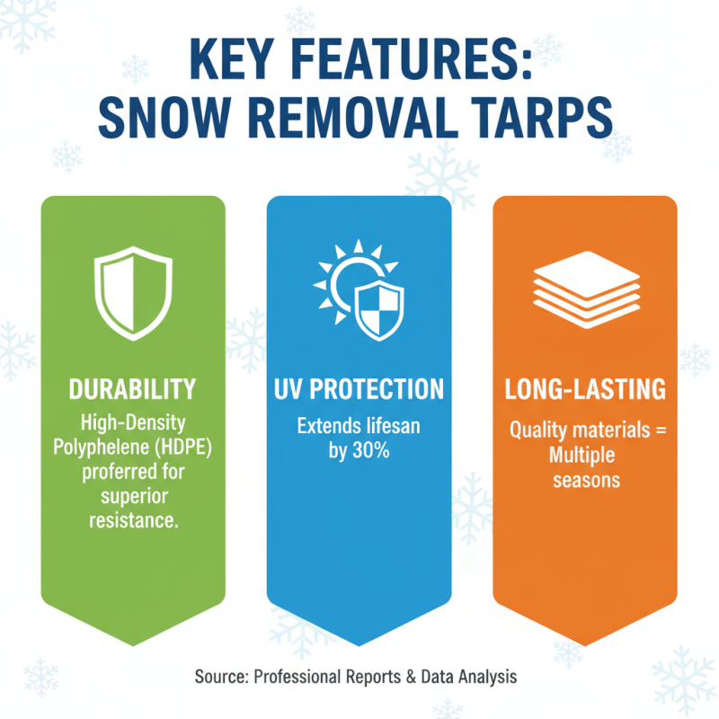 Top 10 Snow Removal Tarps to Explore at Canton Fair 2026?