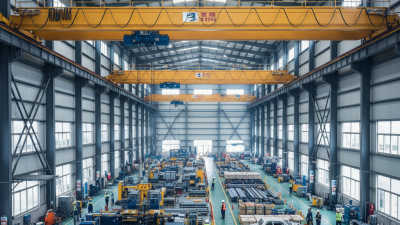 China Best Overhead Bridge Crane Options for Your Needs?