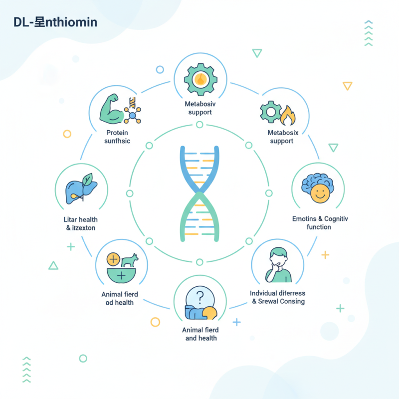 2026 Best DL-Methionine Benefits and Uses Explained