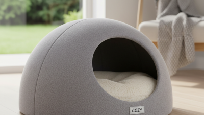 Закрытые лежаки для кошек как выбрать лучшее для вашего питомца?