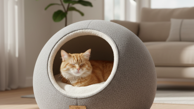 Закрытые Лежаки Для Кошек Какой лучше выбрать в 2026 году?