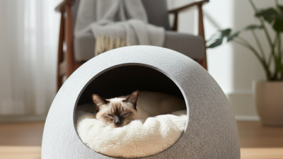 Закрытые лежаки для кошек как выбрать и где купить?